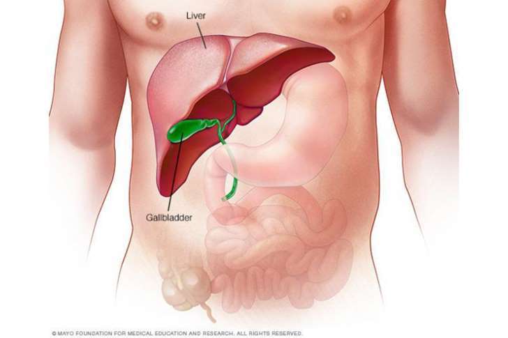 Hepatita C și raportul cu cabinetele stomatologice