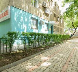 Clădire de stomatologie cu fațadă albastră și gard de plante verzi.