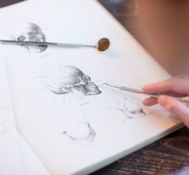 Ilustrație detaliată a craniului uman, cu un instrument de examinare și un notepad în fundal.