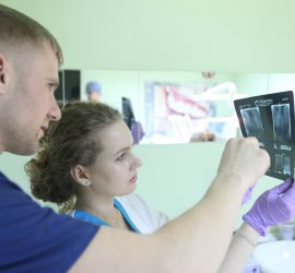 Un medic și un asistent examinând radiografii dentare într-un cabinet stomatologic.